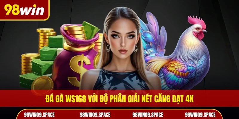 Đá gà WS168 với độ phân giải nét căng đạt 4K