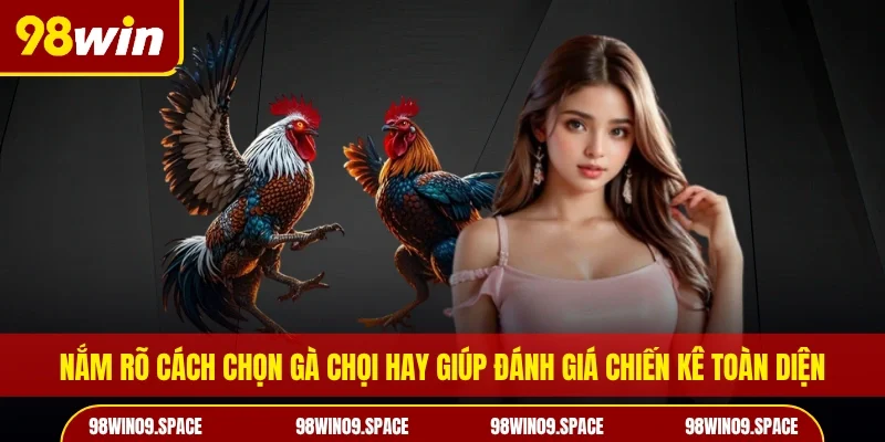 Nắm rõ cách chọn gà chọi hay giúp đánh giá chiến kê toàn diện